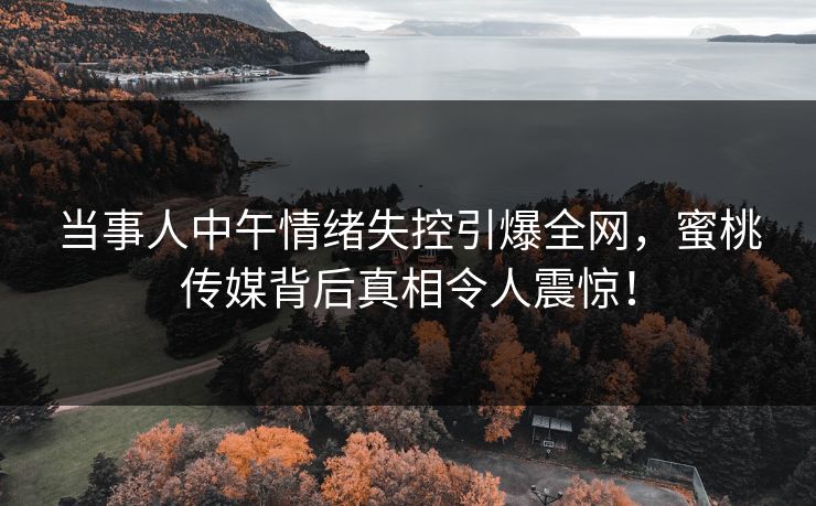 当事人中午情绪失控引爆全网，蜜桃传媒背后真相令人震惊！