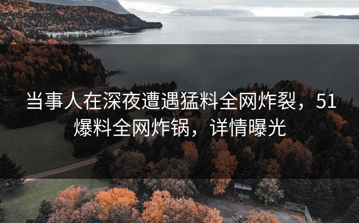 当事人在深夜遭遇猛料全网炸裂，51爆料全网炸锅，详情曝光